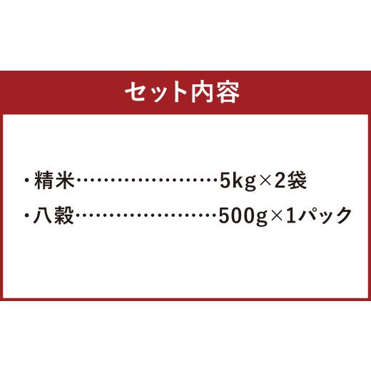 ふるさと納税 熊本県 菊池市 菊池米・きくち古代米セットD（ヒノヒカリ 八穀）計10.5kg 精米 お米 米