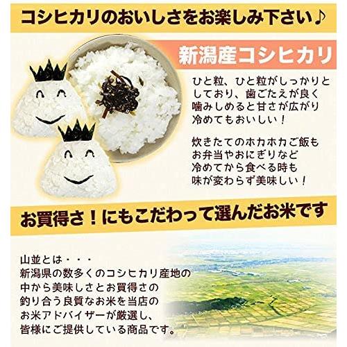 新潟県産 コシヒカリ 山並 白米 10kg (5kg×2 袋) 令和4年産