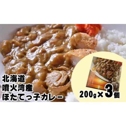 ふるさと納税 北海道 洞爺湖町 北海道 噴火湾産 ほたてっ子カレー200g×3個 レトルト 中辛