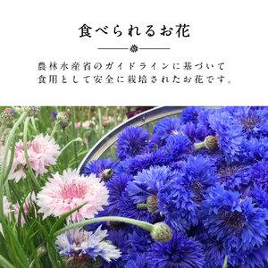 ふるさと納税 食べられるドライフラワーおまかせ5点セット（ドライエディブルフラワー）　A-G13　87farm 滋賀県東近江市