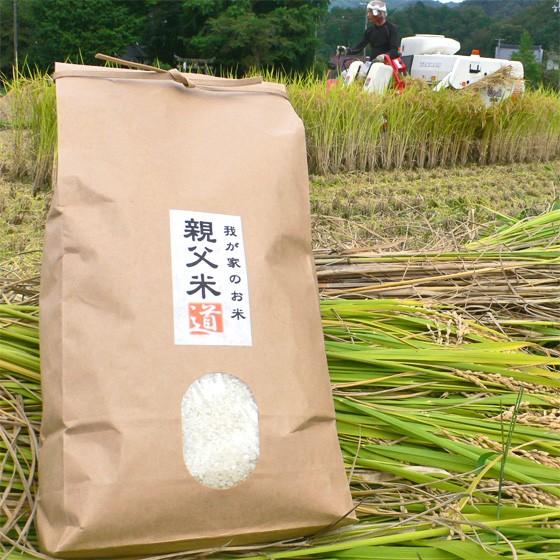 新米 コシヒカリ 10kg 白米 親父米 兵庫県産 令和5年産 送料無料