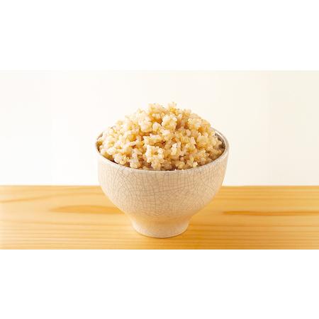 ふるさと納税 すぐに食べられる 玄米 ごはん （ 200g × 3パック ） お米と暮らし すぐに食べられる 玄米 ごはん 国.. 茨城県つくばみらい市