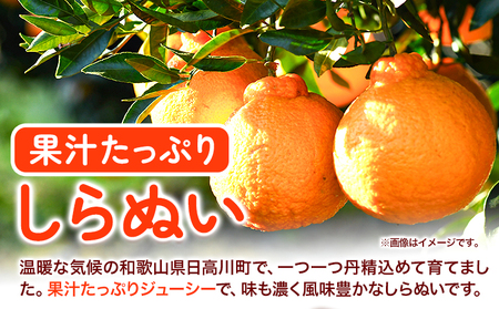 不知火 デコポン と同品種 しらぬい 約 5kg (L～5Lサイズ) どの坂果樹園《2月中旬-4月上旬頃出荷》 和歌山県 日高川町 しらぬい 不知火 デコポン でこぽん 旬 果物 フルーツ 柑橘 産地直送 送料無料