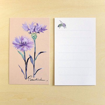 小卡系列 含羞草 10 入組