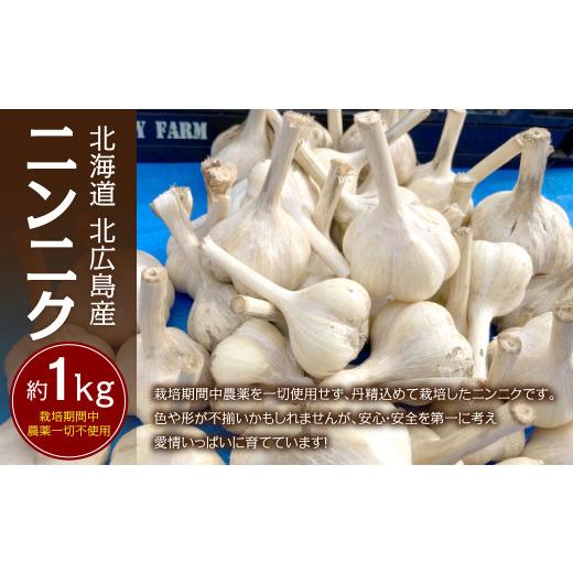 ふるさと納税 北海道 北広島市  北海道 北広島産 ニンニク 約1kg 野菜