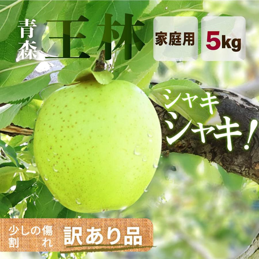 りんご 王林 5ｋｇ（約12玉〜25玉）2023年産 青森県産りんご ご家庭用 訳あり 産地直送 工藤農園