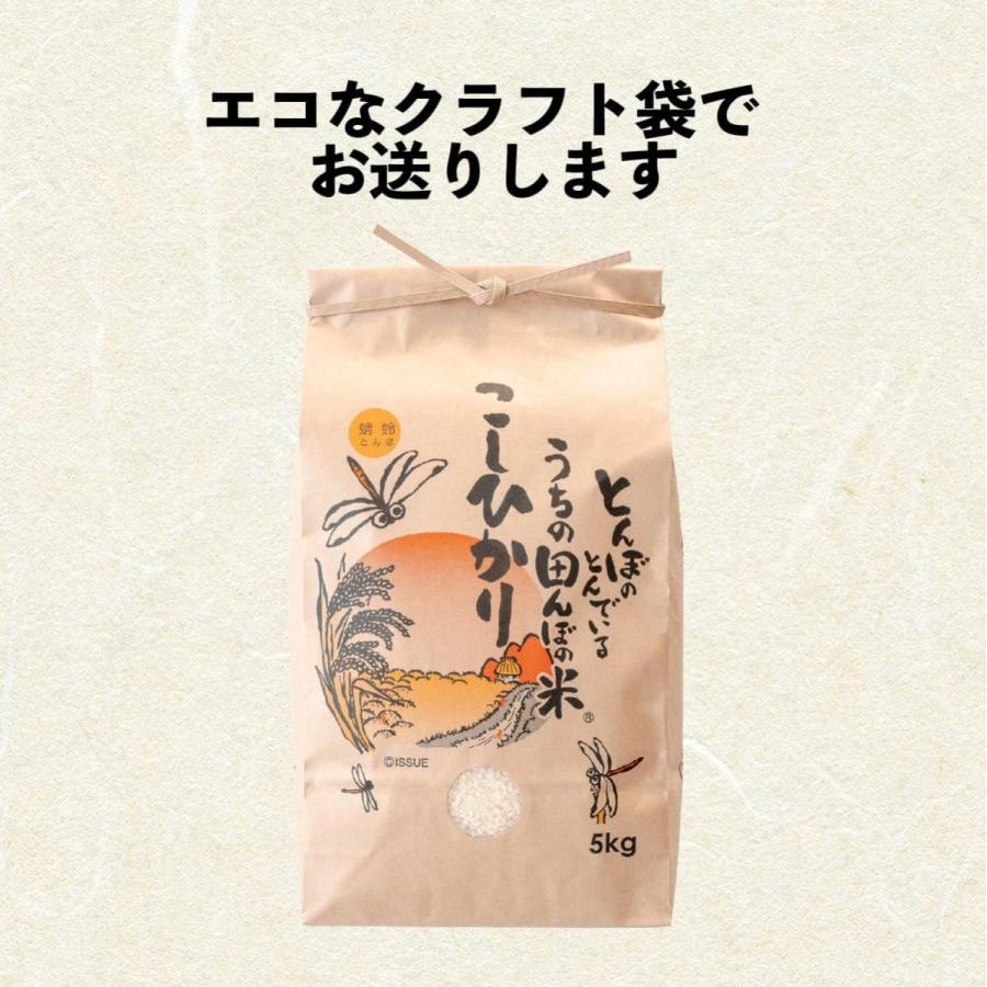 令和5年産 新米 新潟 コシヒカリ 5kg  送料無料 (沖縄 九州 北海道除く) 有機肥料 産地直送 産直 農家直送 おいしい 安心 発送日当日精米 天屋商店