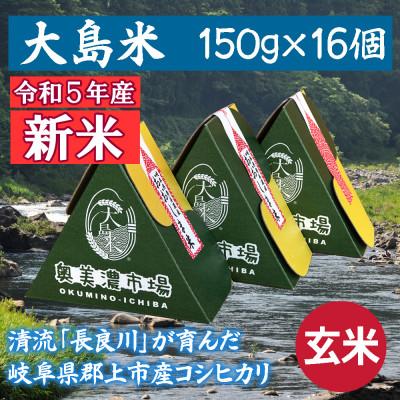 ふるさと納税 郡上市 「令和5年産 玄米」大島米 150g(1合)×16個 岐阜県郡上市産コシヒカリ