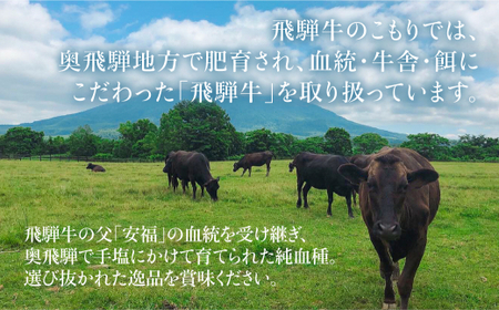 飛騨牛サーロインステーキ200g×2枚 ステーキ 和牛 飛騨高山 のし 熨斗 霜降り 肉 黒毛和牛 ブランド牛 国産牛 国産 飛騨牛のこもり c567