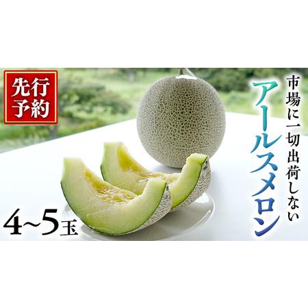 ふるさと納税  秋にお届け ！ リピーター 多数 の 完熟 アールスメロン 大箱 4玉〜5玉入  茨城 メロン 青肉 期間限定 数量限定 マ.. 茨城県筑西市