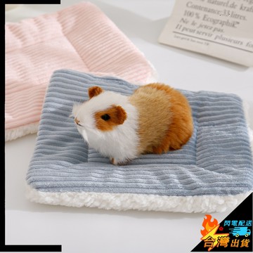 【台灣出貨】寵物窩 寵物睡墊 倉鼠窩墊 金絲熊保暖棉墊 小寵物墊子 刺蝟小窩 龍貓兔子用