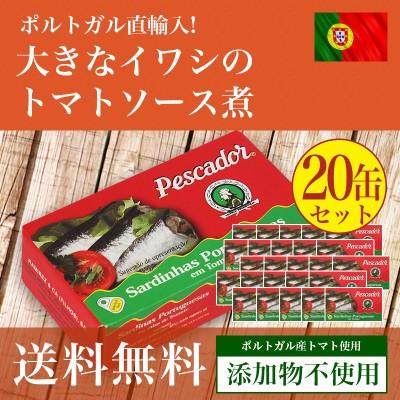 大きなイワシのトマトソース煮125g 20個セット