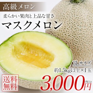 メロン マスクメロン 送料無料 ギフト 3L サイズ 1玉 九州産 1玉約1.5kg以上 贈答 高級 7-14営業以内発送予定(土日祝除)