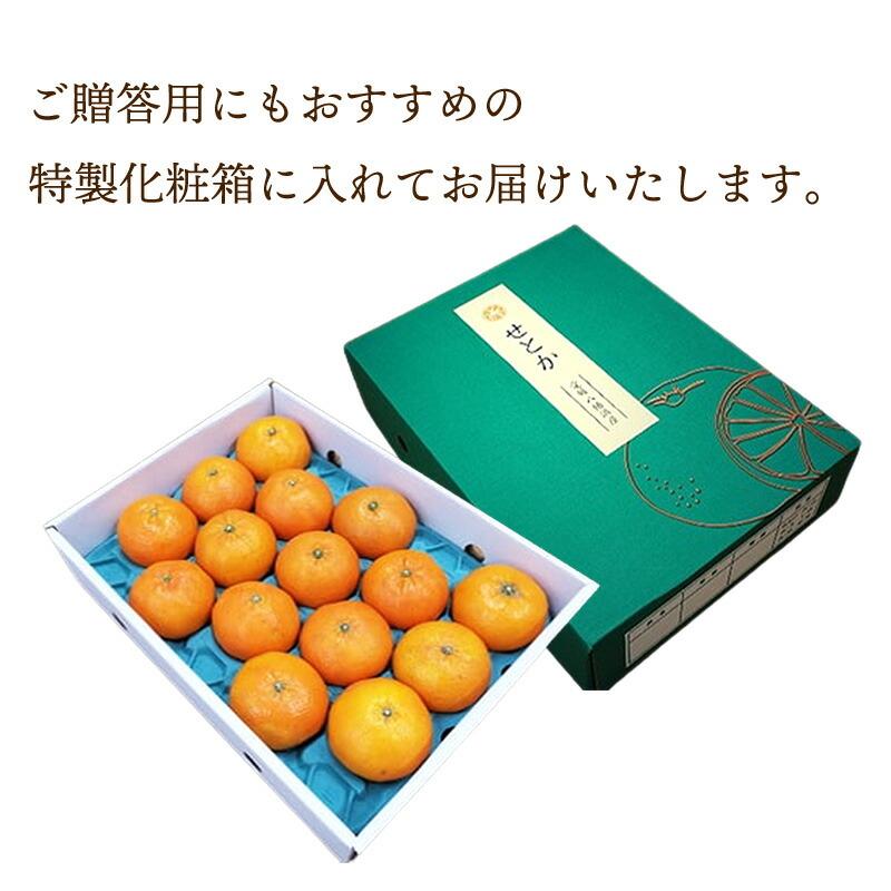  フルーツ 愛媛県産 せとか 約3kg （ M〜3Lサイズ 9〜15玉 ） 果物 柑橘 みかん 青果 内祝い ギフト 高級 送料無料 NENP011