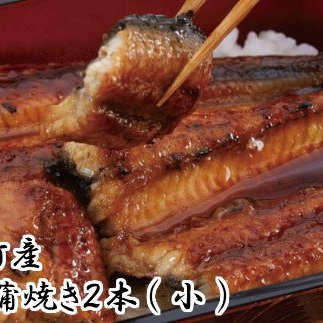  田野町産 うなぎ蒲焼き ２本（小）