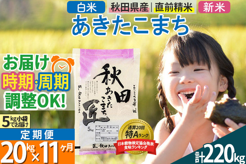 ＜新米＞ 《定期便11ヶ月》秋田県産 あきたこまち 20kg (5kg×4袋)×11回 令和5年産 時期選べる20キロ お米|02_snk-010811