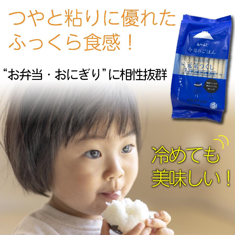 お米 福岡県産元気つくし 計4.5kg 1500g(150g×10)×3袋 令和3年産 あかふじ ぱきっと今日のごはん