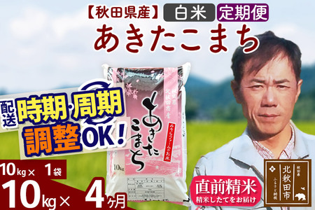 《定期便4ヶ月》＜新米＞秋田県産 あきたこまち 10kg(10kg袋) 令和5年産 お届け時期選べる 隔月お届けOK お米 みそらファーム 発送時期が選べる