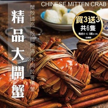 【買3送3】海肉管家-江南精品大閘蟹共6隻( 每隻約4-4.5兩±10%含繩重)