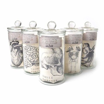 Forever 標本二用布包/手提包 (6款) Think Forever(大腦)