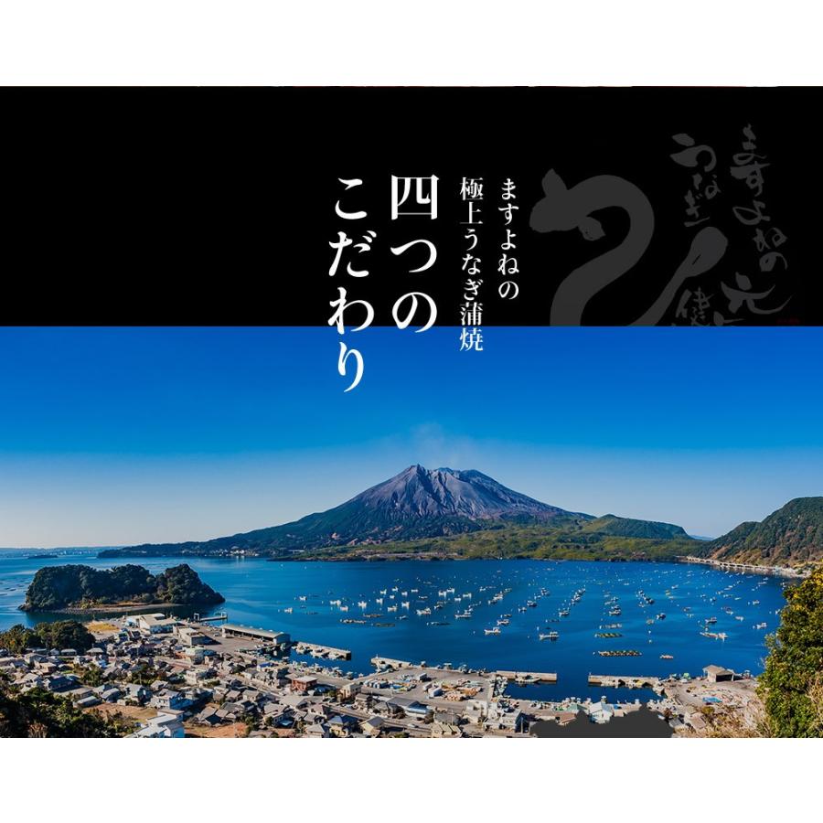 国産 にほんうなぎ 蒲焼き 165g×2尾 計330g ウナギ 鰻 鹿児島or愛知県産 うなぎ蒲焼き長焼2尾 330g前後 取説入 タレ山椒付 のし対応 化粧箱入 ギフト