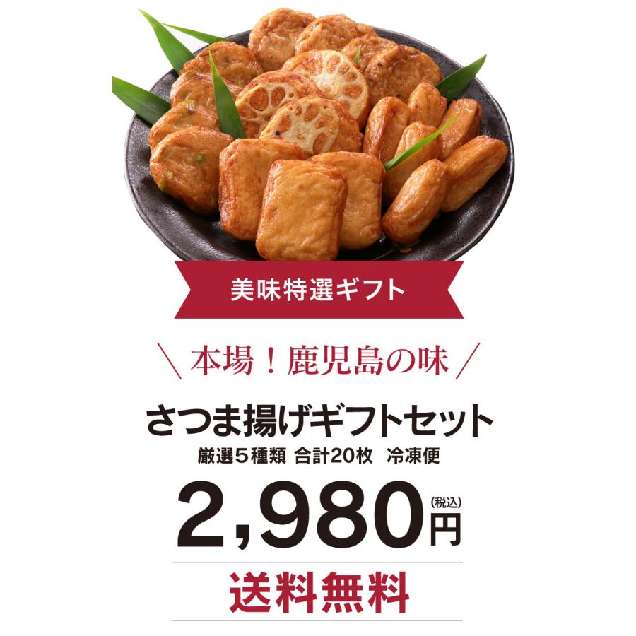 さつま揚げ ギフトセット 送料無料 5種類 20枚 さつまあげ 鹿児島 冷凍食品 大嶌屋（おおしまや）