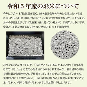 令和5年産 福島県郡山産ミルキークイーン 10kg