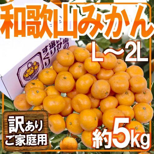 みかん ”和歌山みかん” 訳あり L〜2Lサイズ 約5kg 送料無料