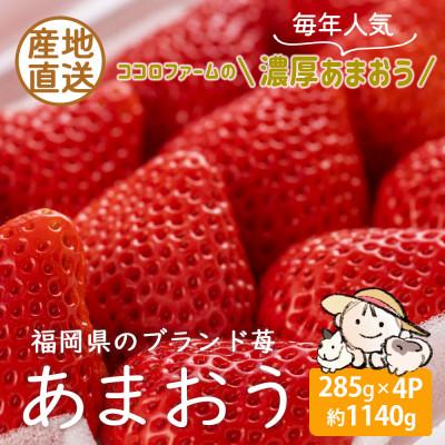 ふるさと納税 豊前市 2024年1月発送開始　こだわりの濃厚あまおう　285g×4パック