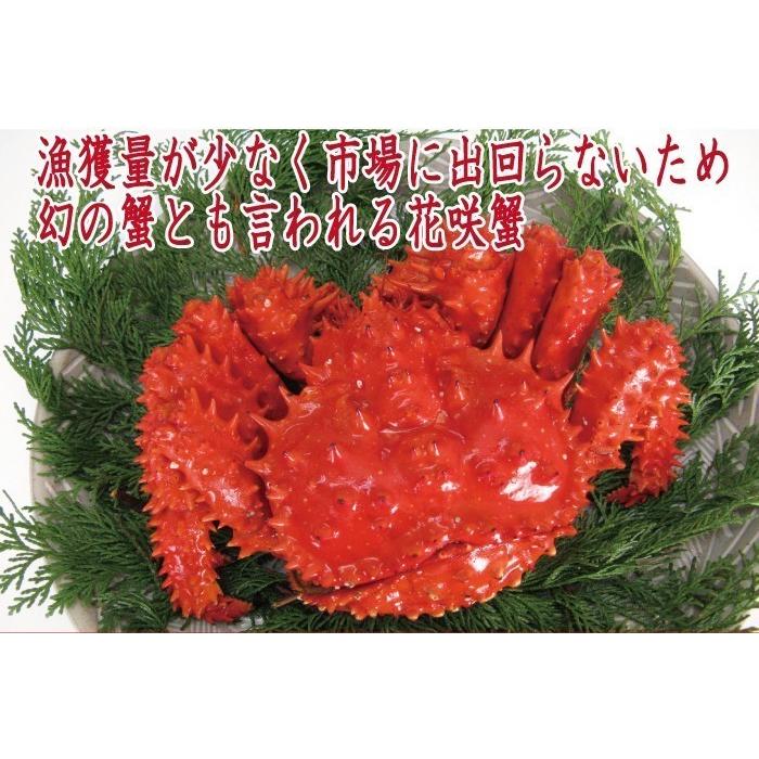 かに　カニ　蟹　花咲ガニ　北海道産　花咲かに　花咲かに(オスメス無選別) 500g前後×2尾　お歳暮 年末予約受付中!