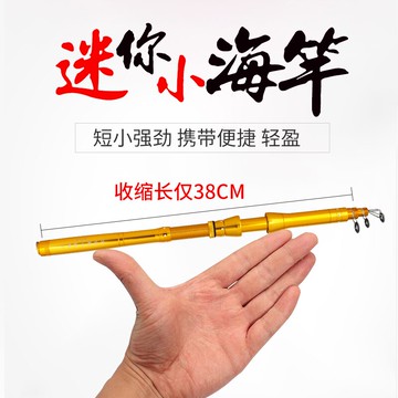 德島全金屬海竿彩金版小海桿小拋竿套裝全套便攜魚竿漁具組合