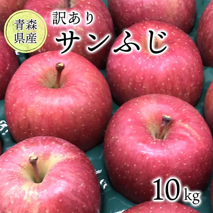 りんご　10kg(5kg×2箱)　家庭用　訳あり　サンふじ 青森県産 光センサー選果