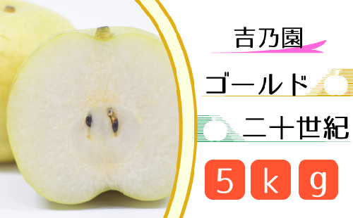 CD018 松戸の完熟梨「ゴールド二十世紀」5kg