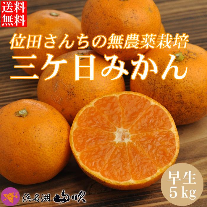 無農薬 無肥料栽培 三ケ日みかん 早生 5kg  産地直送 送料無料 位田さんちのみかん