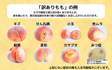 ◆2024年夏発送◆＜ 産直・訳あり桃・約1.5kg ＞ ※着日指定不可 ※北海道・沖縄・離島への配送不可 ※2024年7月中旬～9月中旬頃に順次発送予定