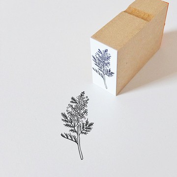 橡皮戳含羞草