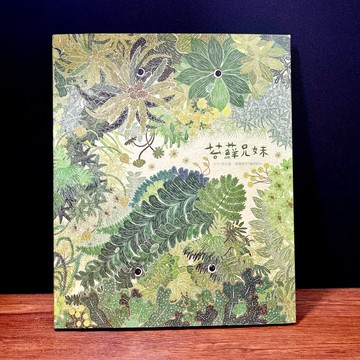 ◤全新熱銷 森林風插畫繪本《苔蘚兄妹》2024｜農業部林業及自然保育署 台灣原住民 手繪風