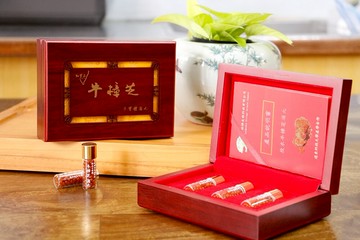 牛樟芝滴丸(粒) - 谷動森活