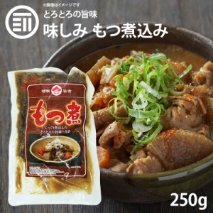 [前田家]  九州の味 とろとろもつ煮込み 250gx1パック 国内製造 モツ煮 ホルモン 煮込み料理 レトルト 惣菜 煮物 おかず 常温 食品 おつ