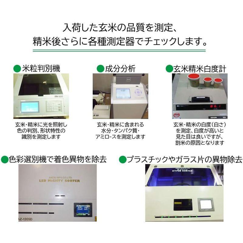 元気つくし 金のめし丸マーク付 福岡県産 10kg(5kg×2) 精米