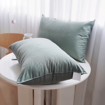 靜謐綠-可水洗舒眠抗菌機能枕-2入(台灣製)