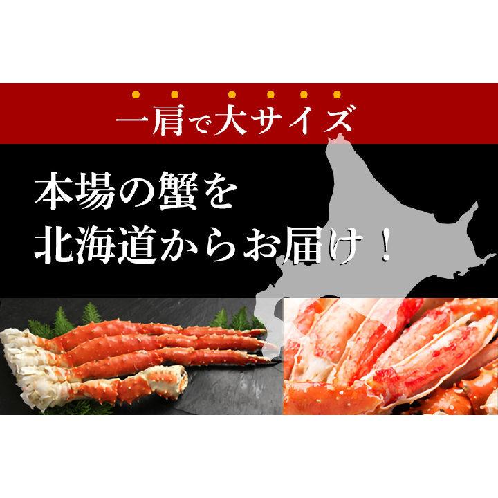 タラバガニ 足 1kg 1肩 大サイズ ボイル 冷凍 シュリンク包装 送料無料 北海道加工 タラバ脚 たらばがに タラバカニ 蟹 かに