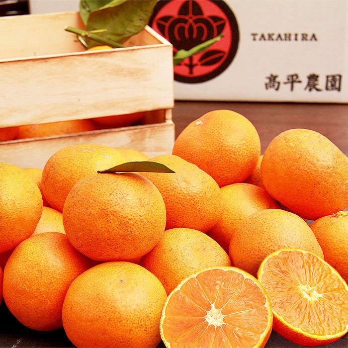 みかん 三ケ日 2kg ミカン 三ヶ日 mikan 高平農園 甘い 静岡産 青島 早生 直送 産地直送 小粒 フルーツ プレゼント お歳暮 ギフト お年賀 小玉 訳あり s mサイズ