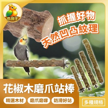 【鳥國王】花椒木磨爪站棒 鸚鵡磨爪站棍 鳥類休息站棒 鳥籠造景站棍 花椒木站棍 木頭製站棒 鸚鵡用品 鳥用品 小寵用品