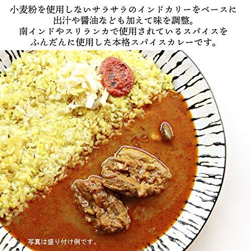 般゜若 チキンカレー ×2個 セット レトルトカレー PANNYA監修 パンニャ