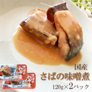 国産  [さばのみそ煮 240g（120g×2袋）鮮冷 SN]保存料・化学調味料不使用 時短商品 送料無料 メール便 ポイント消化 ネコポス 即送