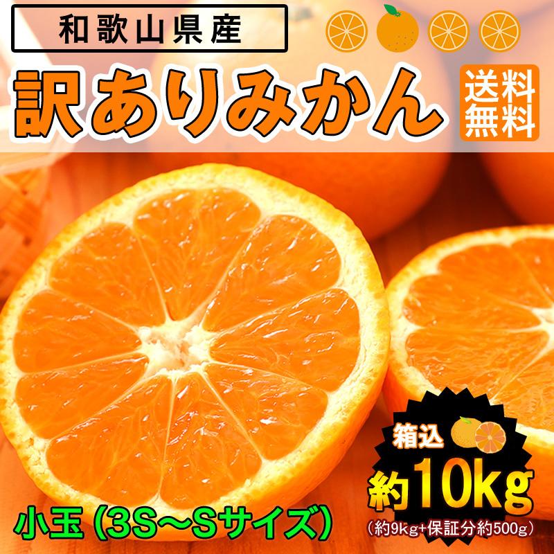 みかん 小玉（3S〜Sサイズ）10kg（箱込約10kg）和歌山県産 訳あり・ご家庭用 送料無料（東北・北海道・沖縄県除く）（配達日指定不可）