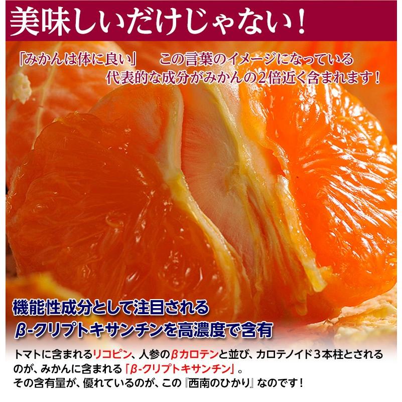 訳あり品 『西南のひかり』 香川県産 柑橘 約5kg S〜2Lサイズ ※常温 送料無料