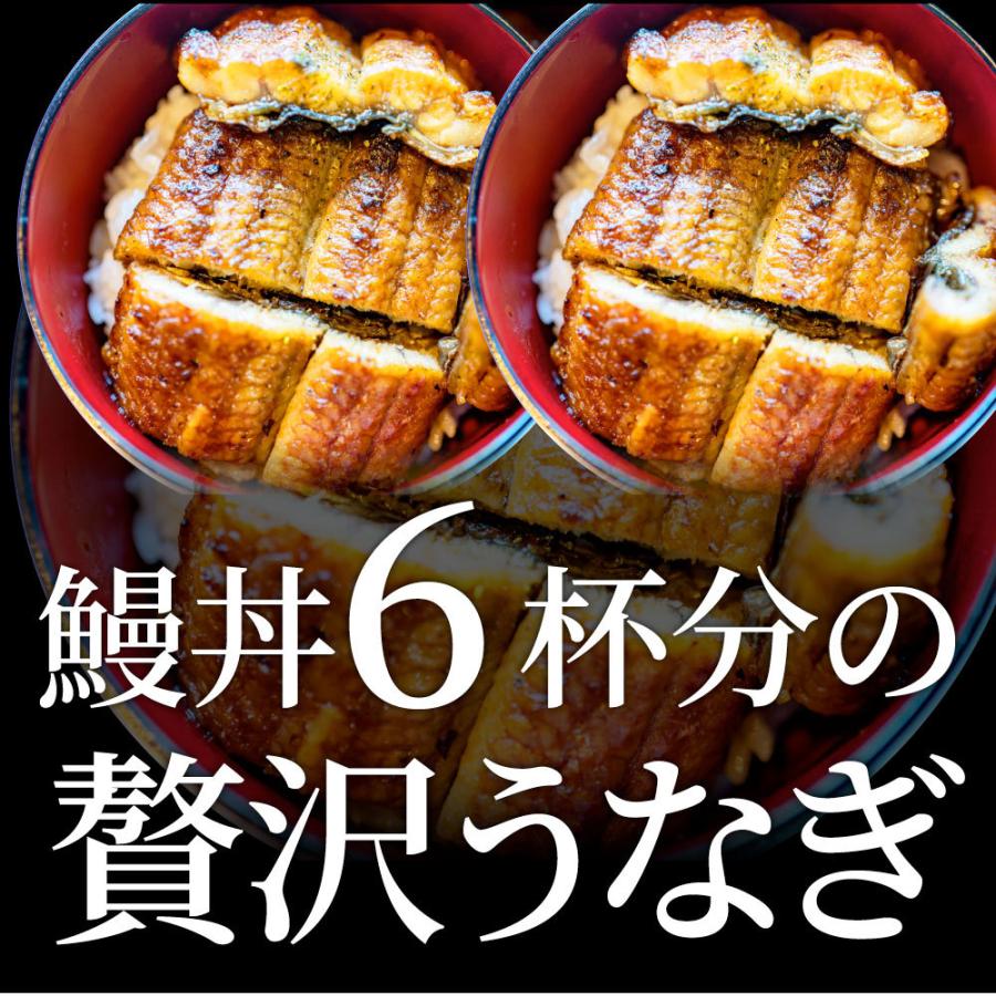 うなぎ蒲焼 3本入り（約200ｇ×3）たれ・山椒付き 鰻 かば焼き 土用 丑の日 湯煎 レンジOK 簡単解凍するだけ 惣菜 冷凍当日発送