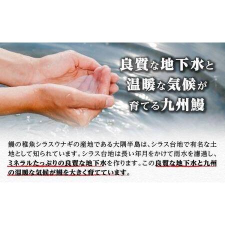 ふるさと納税 うなぎ備長炭手焼蒲焼５尾(合計600g以上) 鹿児島県大崎町